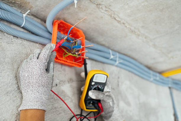 Best Electrical Troubleshooting Services  in Cold Springs, NV